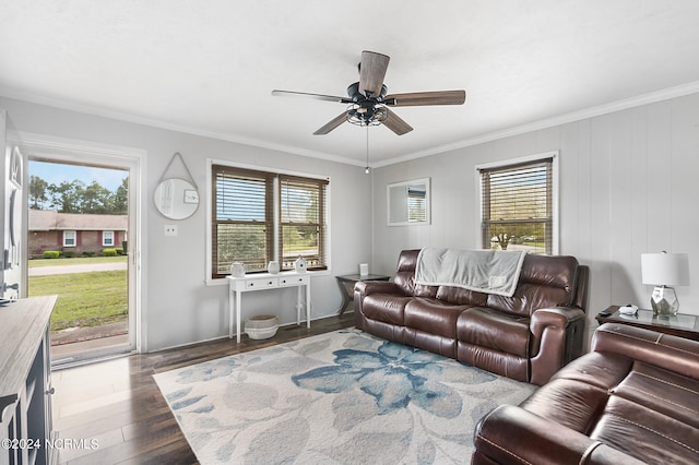 living room with ornamental molding, hardwood / wood-style floors, and ceiling fan