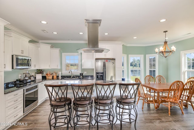 kitchen featuring a center island, stainless steel appliances, an inviting chandelier, island exhaust hood, and decorative light fixtures