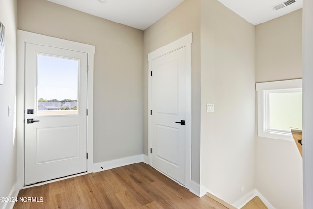 foyer entrance featuring wood-type flooring