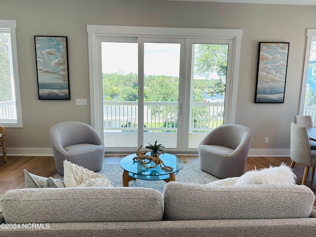 living room featuring plenty of natural light and hardwood / wood-style floors