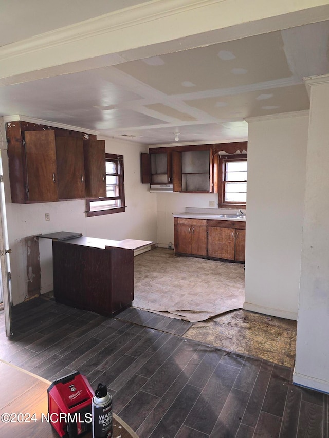 kitchen with ornamental molding, plenty of natural light, and dark wood-type flooring