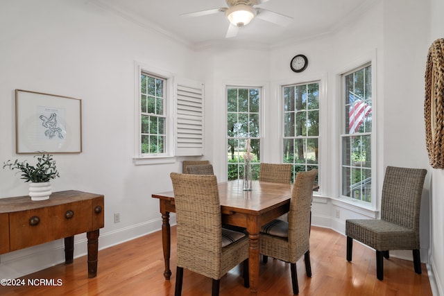 dining space with light wood-type flooring, ceiling fan, and ornamental molding