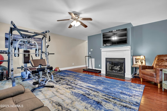 exercise room with ceiling fan and hardwood / wood-style floors