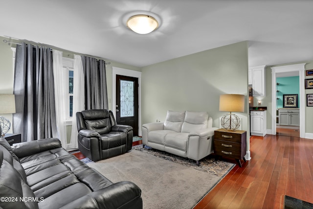 living room with dark wood-type flooring