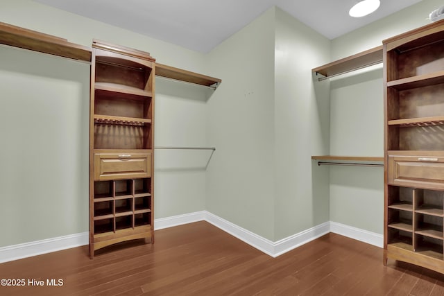 204 Van Riggs Rd, Hubert, NC 28539 - walk in closet with dark wood finished floors