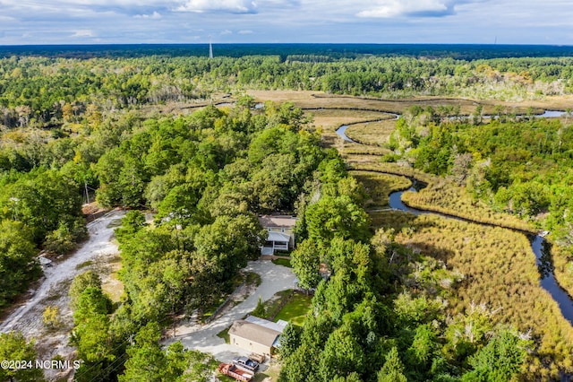 aerial view with a view of trees