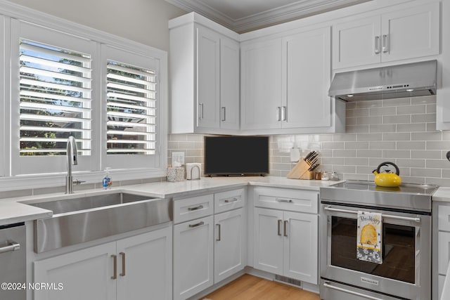 kitchen featuring stainless steel appliances, range hood, white cabinets, and sink