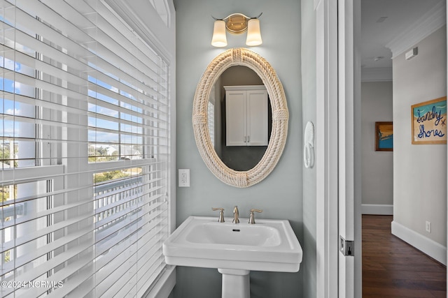 bathroom with ornamental molding, sink, and wood-type flooring