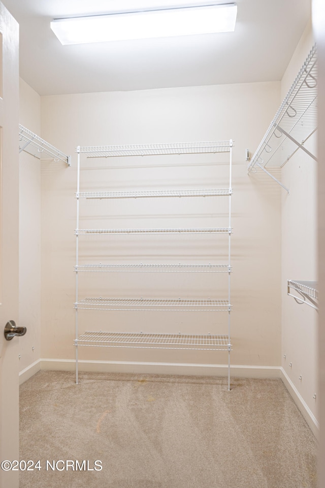 spacious closet with carpet floors