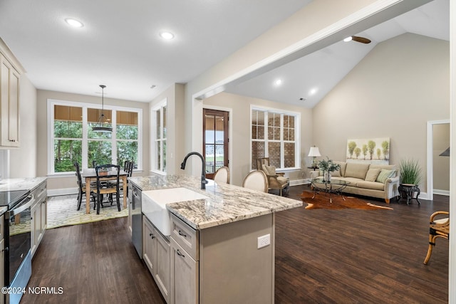 kitchen featuring dark wood finished floors, stainless steel appliances, lofted ceiling, a sink, and light stone countertops