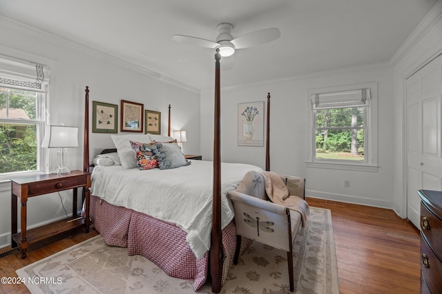 bedroom with multiple windows, ceiling fan, a closet, and wood-type flooring