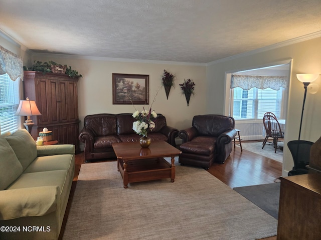 living room with ornamental molding, a textured ceiling, and dark hardwood / wood-style flooring