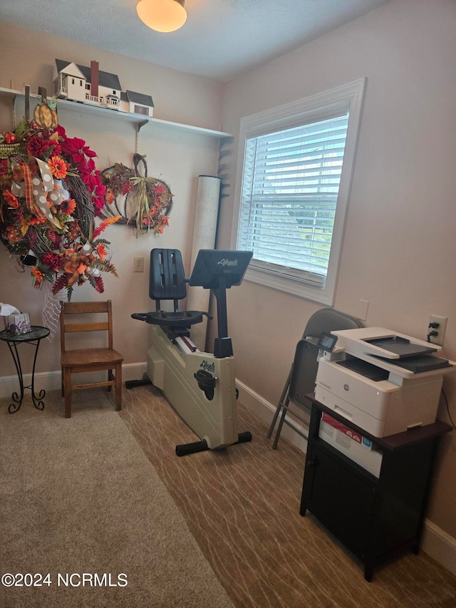 exercise area featuring carpet flooring