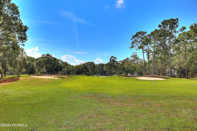 view of home's community with a lawn