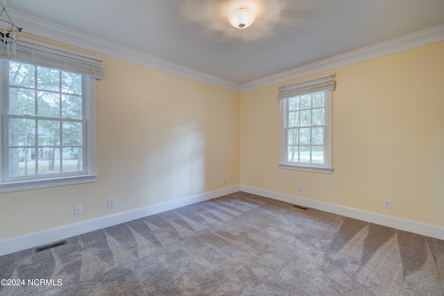 carpeted empty room featuring ornamental molding and plenty of natural light