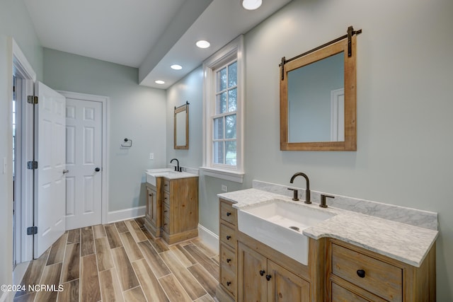 bathroom featuring wood-type flooring and vanity