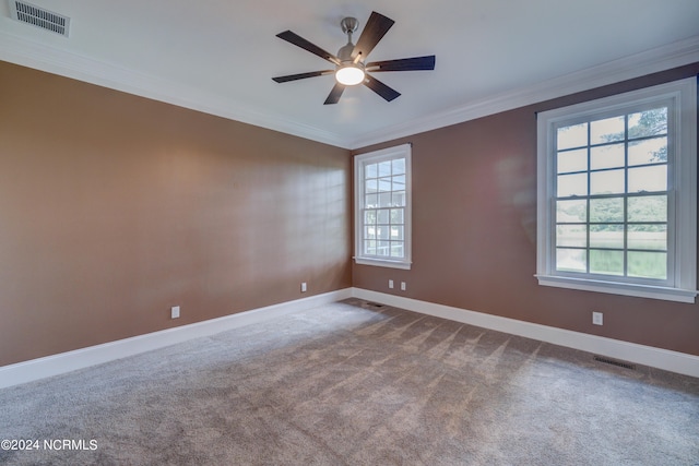 carpeted spare room with ceiling fan and ornamental molding