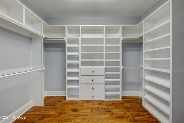 spacious closet with hardwood / wood-style floors