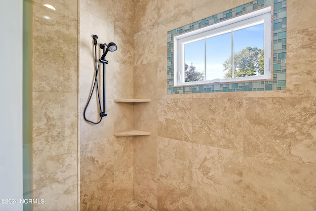 interior details with tiled shower