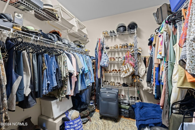 view of walk in closet