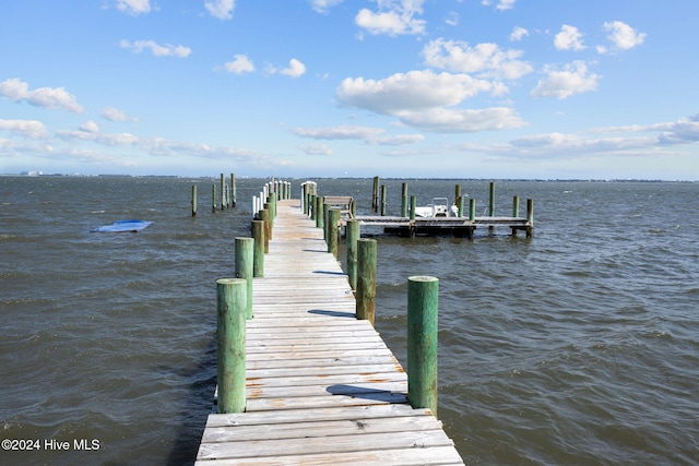 dock area with a water view