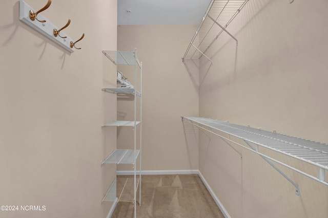 spacious closet featuring light colored carpet