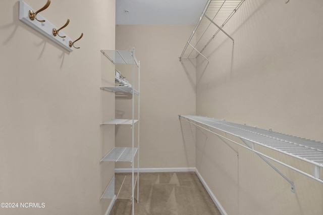 walk in closet with light colored carpet
