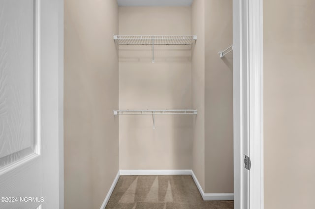 walk in closet featuring carpet flooring