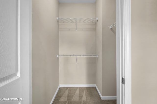 walk in closet with carpet floors