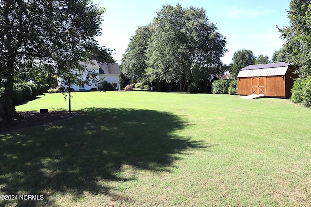 view of yard with a storage shed