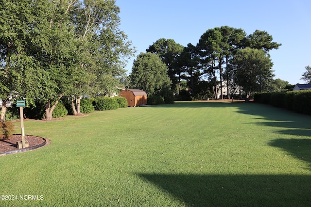 view of yard with a storage unit