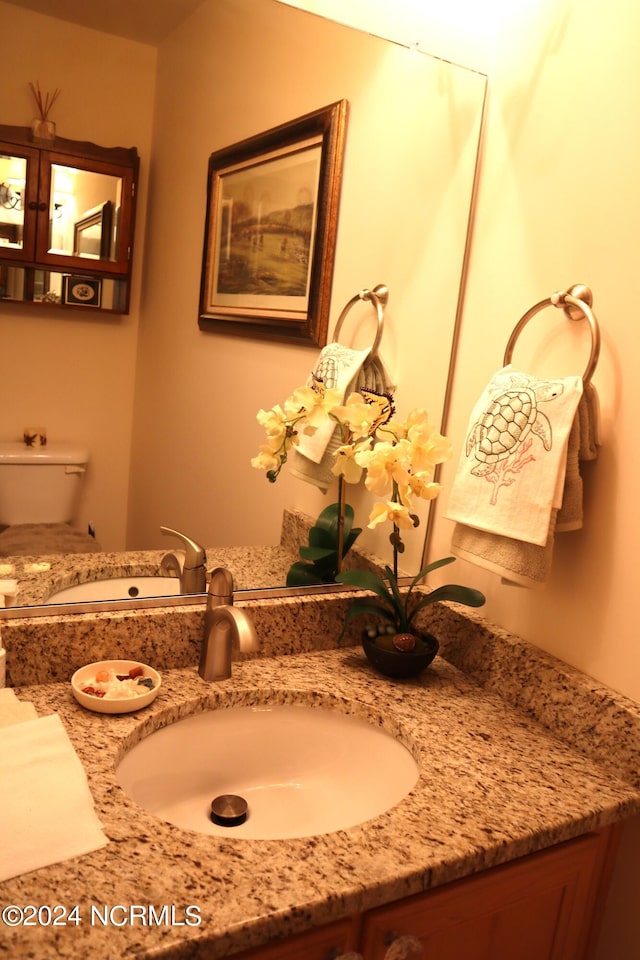 bathroom with vanity and toilet