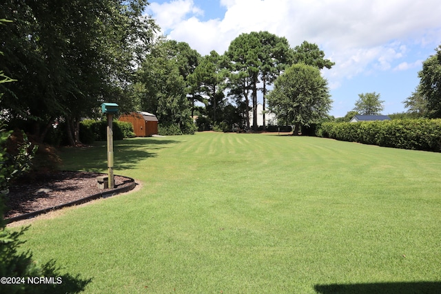 view of yard featuring a shed