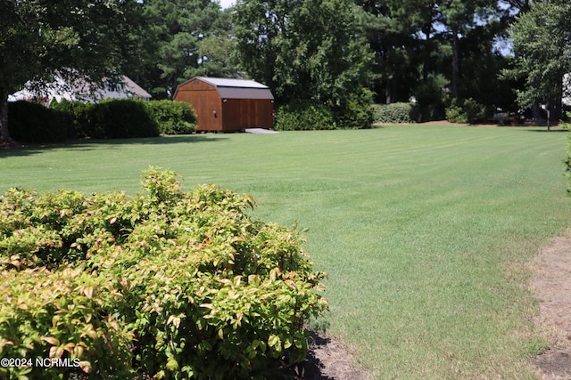 view of yard with a storage shed