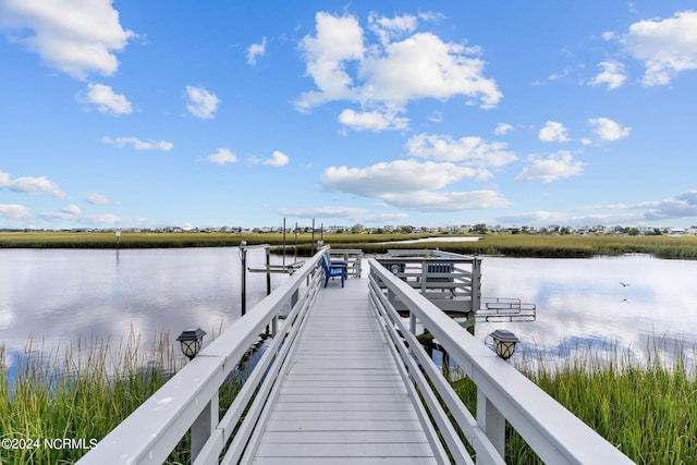 dock area with a water view