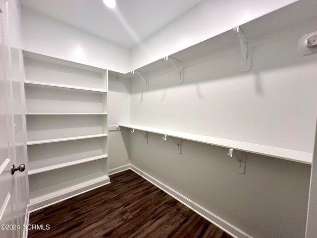 walk in closet featuring dark wood-type flooring