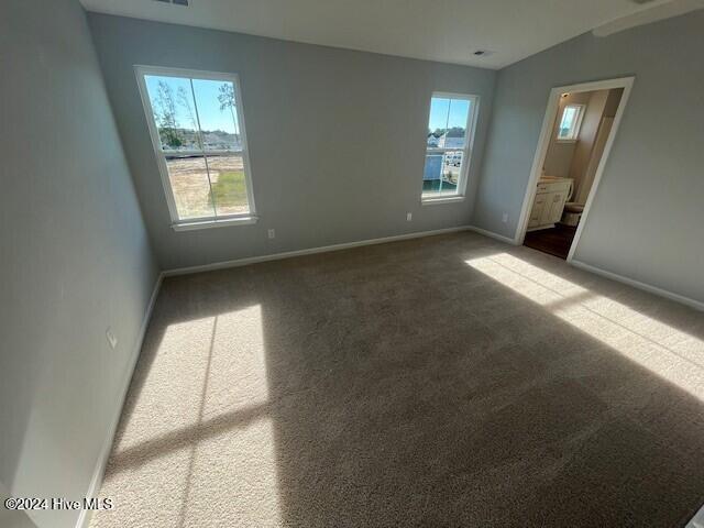 interior space featuring ensuite bath, lofted ceiling, carpet, and multiple windows