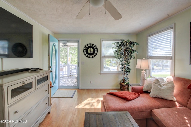 living room with a wealth of natural light, light hardwood / wood-style flooring, and a textured ceiling