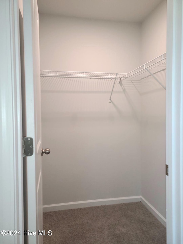 walk in closet with carpet floors