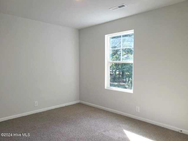 carpeted empty room with a healthy amount of sunlight