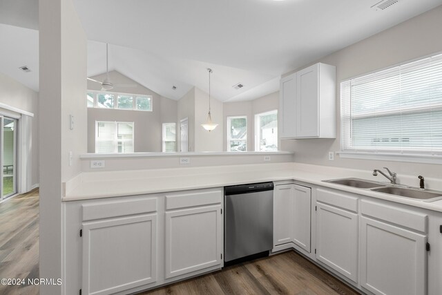 kitchen with lofted ceiling, dishwasher, plenty of natural light, and sink