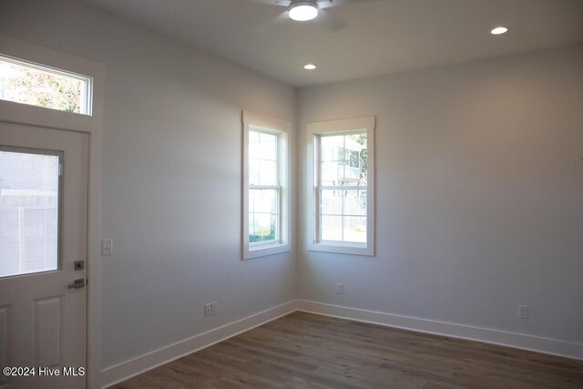 entrance foyer featuring dark hardwood / wood-style flooring and a wealth of natural light