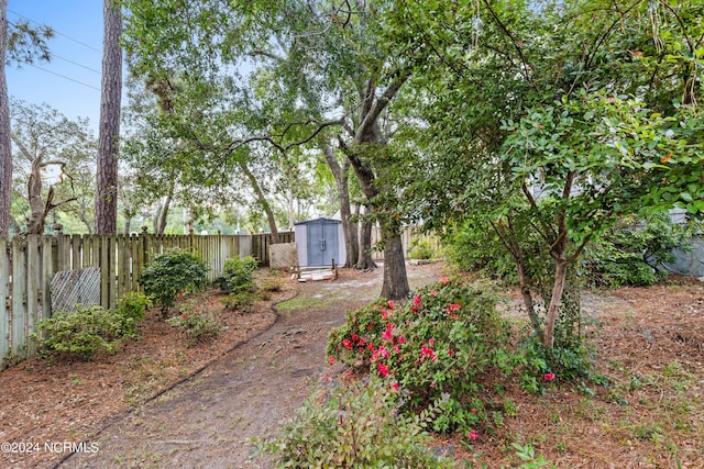 view of yard with a fenced backyard, a storage unit, and an outdoor structure