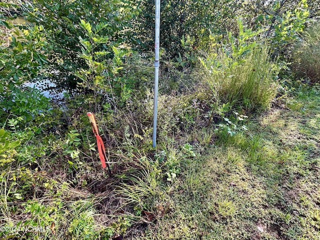 281 Old Sr 1801 Unit 4And 4A, Scotland Neck, NC 27874