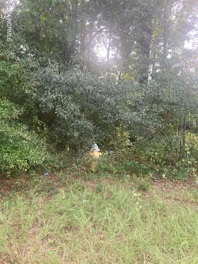 LOT2 College Dr, Laurinburg NC, 28352 land for sale