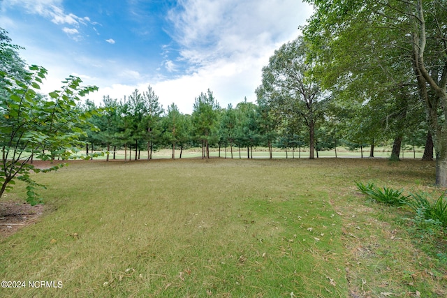 view of yard with a rural view