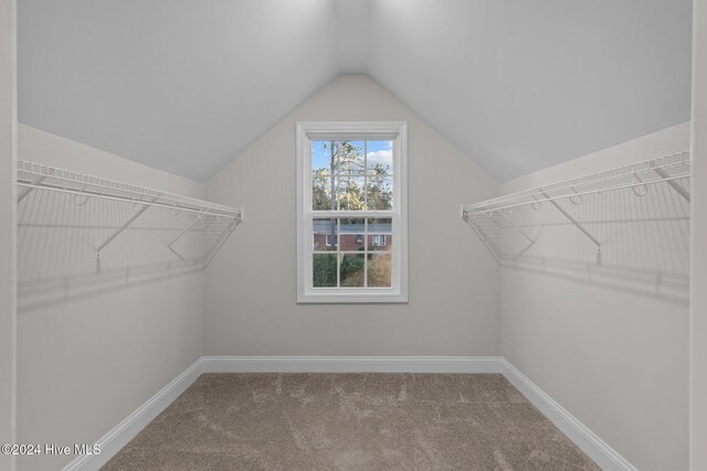 walk in closet featuring carpet flooring and vaulted ceiling