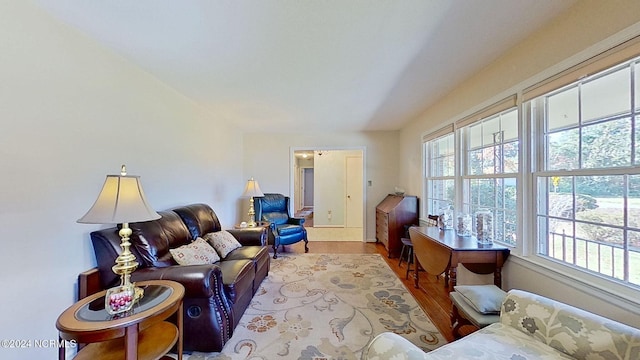 living room with a healthy amount of sunlight and wood-type flooring