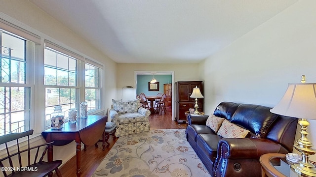 living room with hardwood / wood-style floors