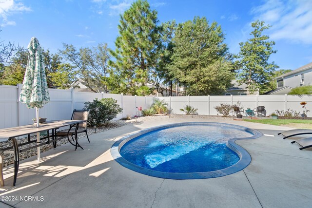 view of swimming pool with a patio area